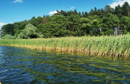 Ostoja Stacze - Foto 12