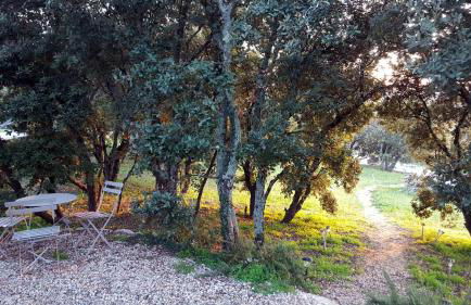 Les Terrasses - Gordes - Photo 13