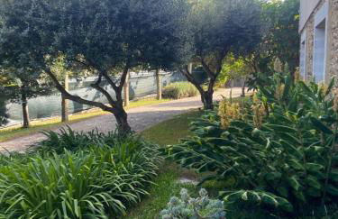 Quinta do Senhor - Foto 12