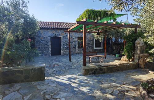 Elaion Thea-Nies - Photo 10