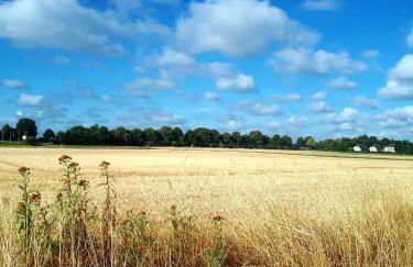 Ferienhaus am See Goch Kessel - Foto 39