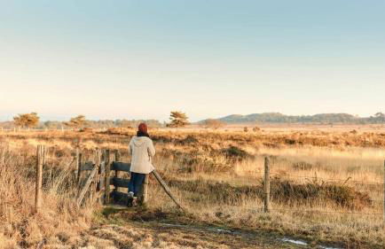 TYVAC - Maison centre Plougasnou 2 chambres- 4 voyageurs - Photo 21