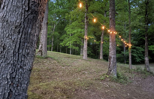 Newly Listed-Private 25-Acre Escape Near Red River Gorge - Foto 77