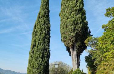 Podere Vecci - Foto 41