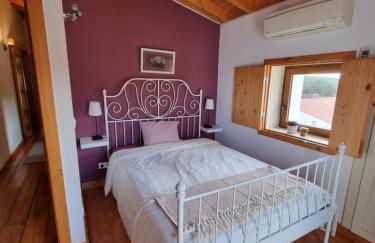 Gecko Pego Longo - Foto 44