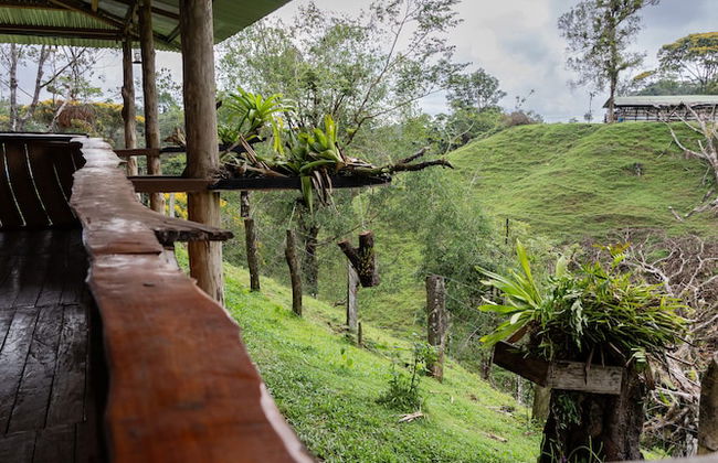 La Finca Azul - Foto 33