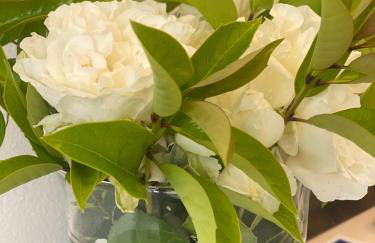 Green House in campagna - Foto 18