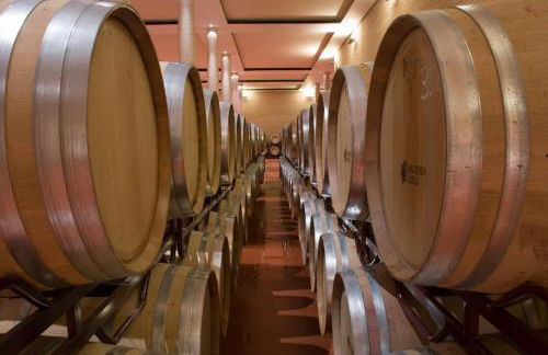 Hotel de Bodegas Hacienda Albae - Photo 56