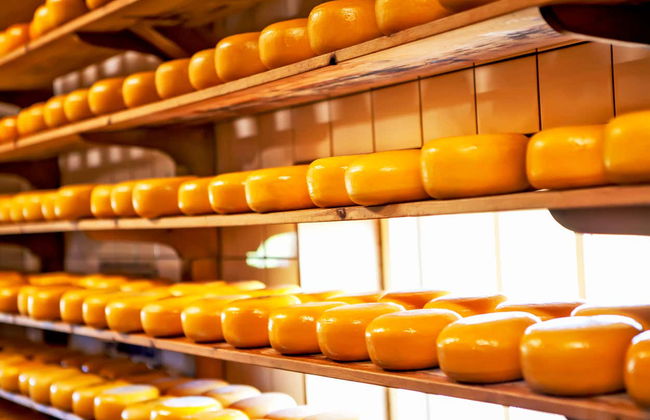 Excursión a Zaanse Schans - Foto 4