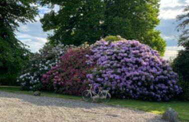 Little Woodbank - Foto 28