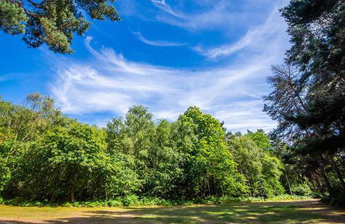 2 Bed in Weybourne oc-1628 - Photo 13