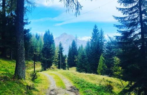 casa della neve - Photo 2