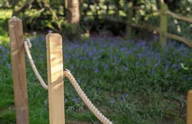 The Piggery - Foto 21