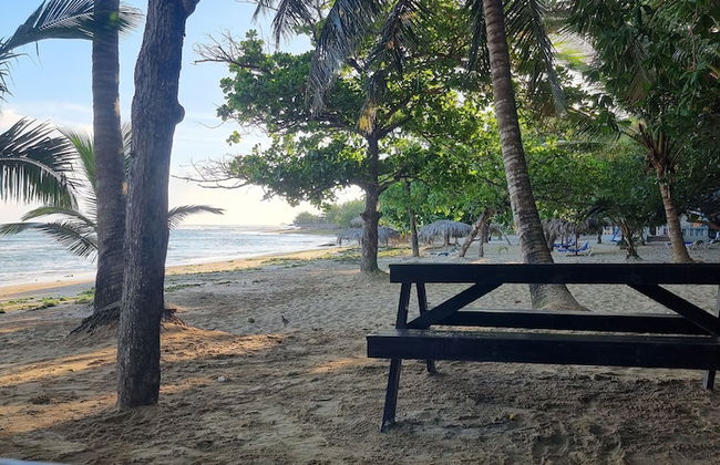 Costambar Beachfront Pool Apartment - Foto 11