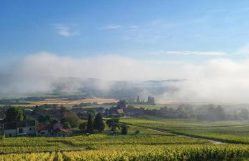 Le Coq De Champagne - Photo 12