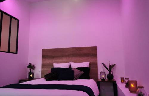 Les Sansonnets Appart & Spa - Foto 6