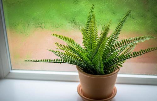 Vale House By EDEN Accommodation - 2 Bedroom Whole House, Sleeps 4 - NEWLY RENOVATED - Foto 27