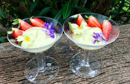 Nocini di Maremma - Photo 21