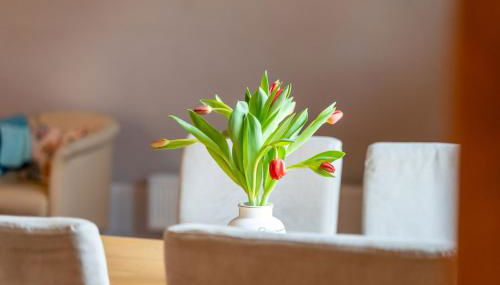Ferienwohnung 1 im Landhaus am Wildpark Boek - Foto 3