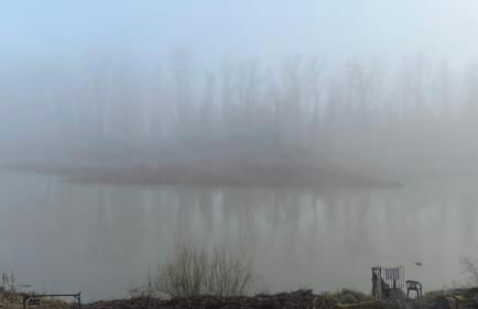 Blue Heron Sanctuary & Serene, river-front cottage - Foto 51