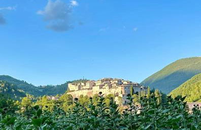 La casa di Peppe - Foto 6