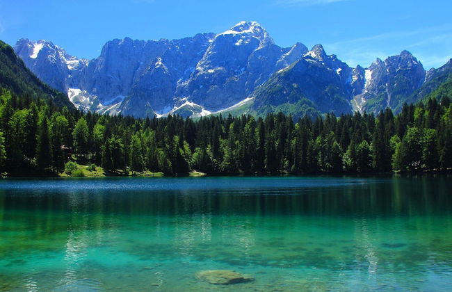 Nice Apartment Near Lake Bled With Views Over Stol Mountain - Foto 25