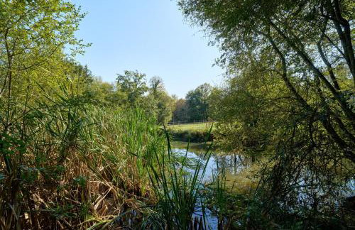 L'Envol - Oasis Ressource - Foto 54