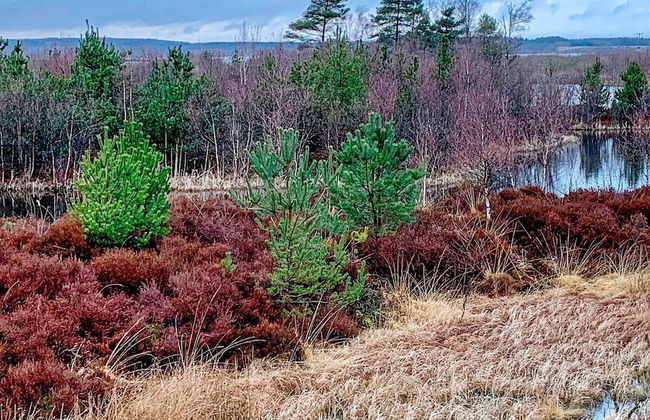 8 Person Holiday Home in Silkeborg-by Traum - Foto 37