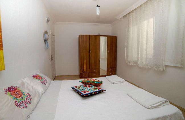 Kaktus Gokseki - Foto 6