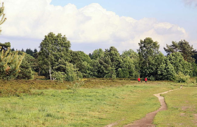 Holiday Home in the Veluwe in Nature - Foto 28