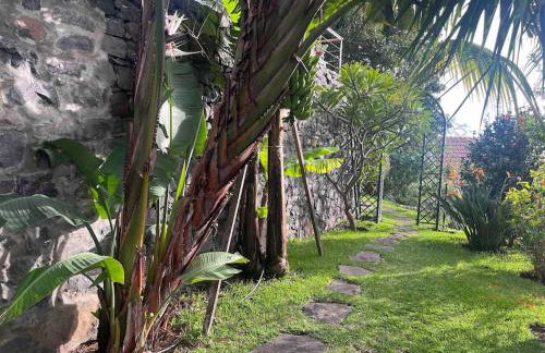 Lucky Lemons - Boutique Houses Madeira (Studio) - Photo 17