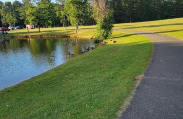 Aviation Haven 5 Mins to RIC, Ready for Takeoff! - Foto 29