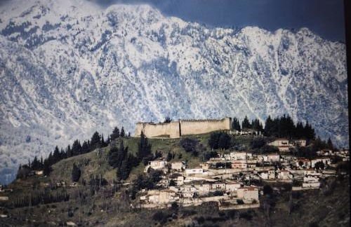 ΑΡΧΟΝΤΙΚΌ Μουζάκι ΚΑΡΔΙΤΣΑ ΤΡΙΚΑΛΑ - Photo 10