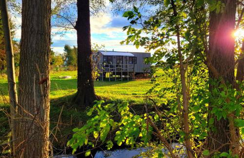 NEU Luxuriöses Tinyhaus Ferienhaus FREYR einmalig in Lübbenau - Foto 5
