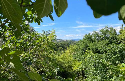 L'annexe du domaine de brisset - Foto 39