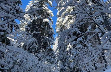 Ferienwohnung Moosegger - Foto 11