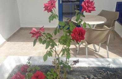 Grupotel Cinco Plazas - Foto 6