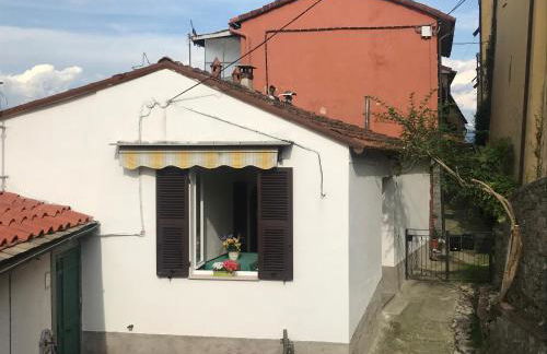 La casa nei carobi - Photo 51