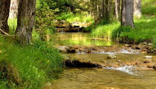 Apartahotel Al Alba - Foto 3