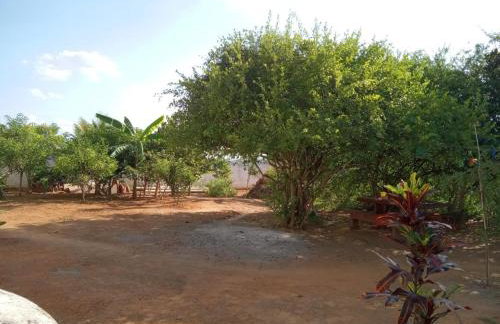 Granja ao lado da festa Soul João - Foto 6