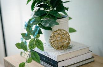 Quiet 3BR with Workspace, 10 Min to AU & RTJ, Family Friendly, Sleeps 8! - Foto 12