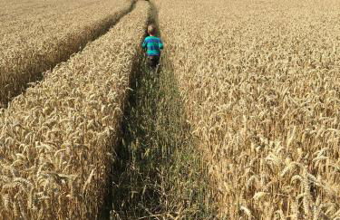 Ferienhof Schulz - Foto 16