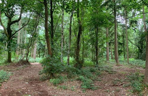 Sycamore Lodge Uk38193 - Photo 6