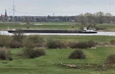 Elkras Elbe - Foto 10