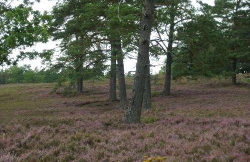 detached holiday home Kasch - Foto 16