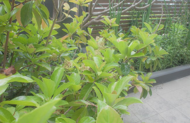 Maison Home - Marinas Apartments - Photo 28