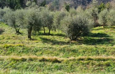 All ' ombra del lauro - Foto 11