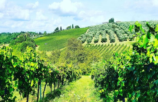 Tuscany Bliss: Garden Retreat - Foto 35