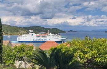 Brisa Vis Studio - Photo 32