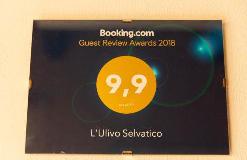 L'Ulivo Selvatico - Foto 18